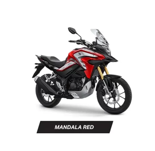 Varian Honda CB150X (4)