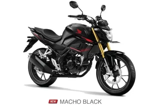 Varian Honda CBR 150R Streetfire (1)