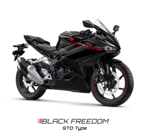 Varian Honda CBR 250RR (1)