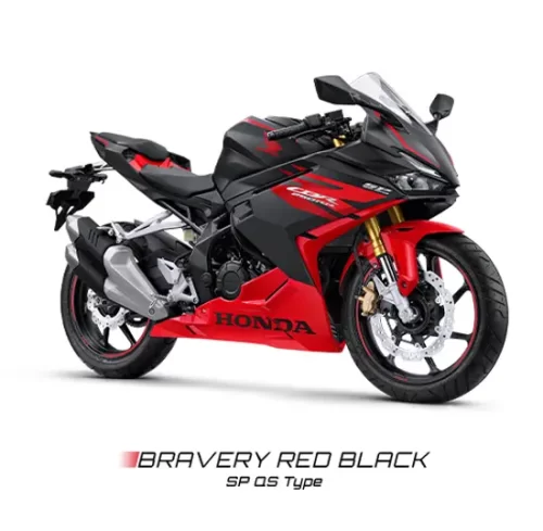 Varian Honda CBR 250RR (2)