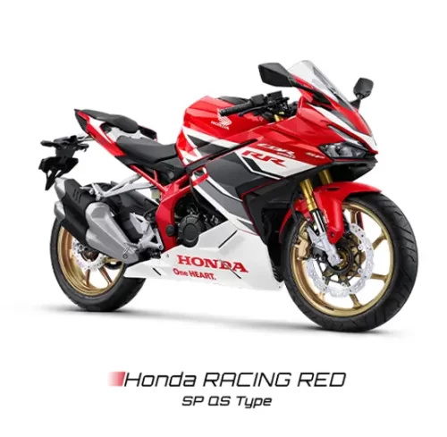 Varian Honda CBR 250RR (3)