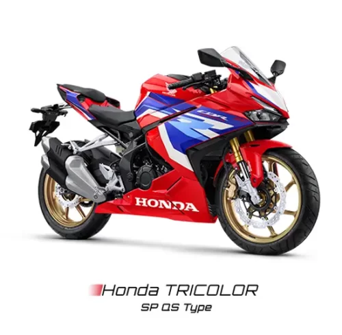 Varian Honda CBR 250RR (4)