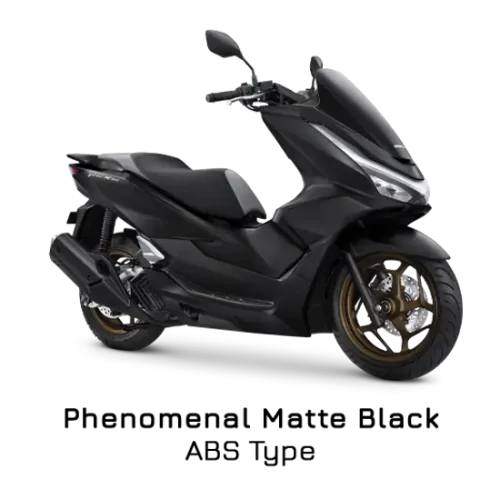 Varian Honda PCX 160 ABS (1)