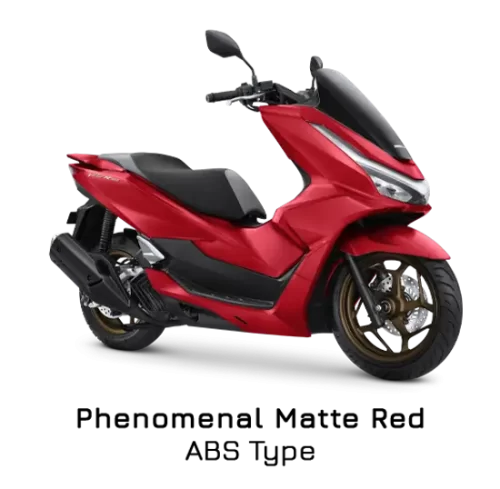 Varian Honda PCX 160 ABS (2)