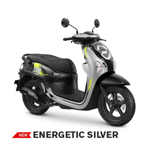 Varian Honda Scoopy (1)