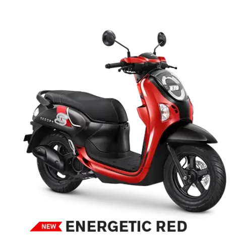 Varian Honda Scoopy (2)