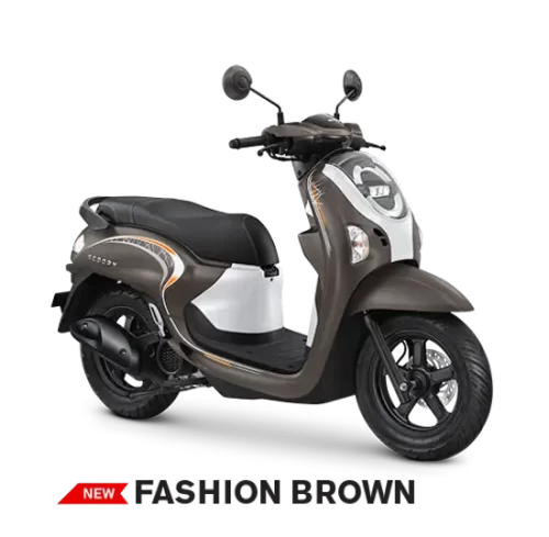 Varian Honda Scoopy (3)