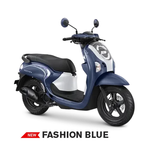 Varian Honda Scoopy (4)