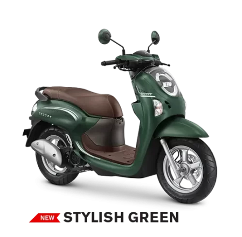 Varian Honda Scoopy (5)