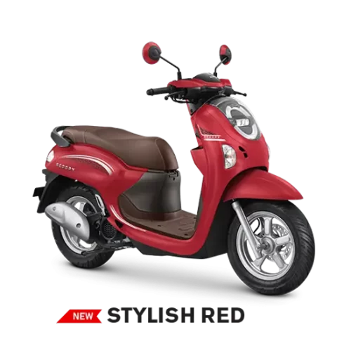 Varian Honda Scoopy (6)