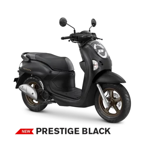 Varian Honda Scoopy Prestige (1)