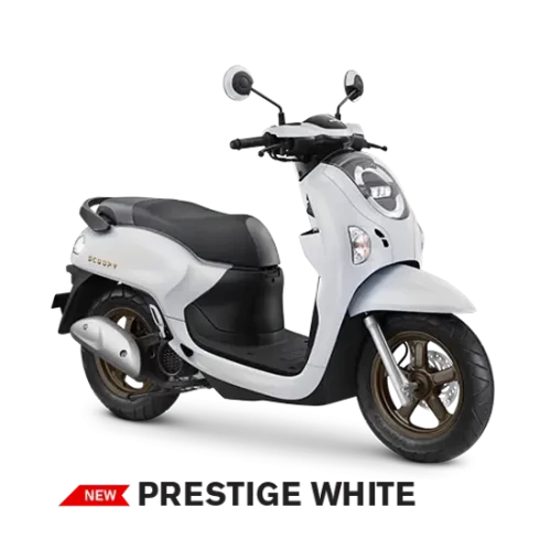Varian Honda Scoopy Prestige (2)