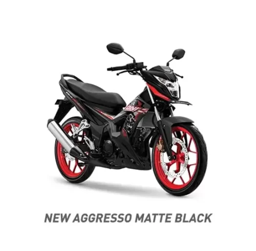 Varian Honda Sonic 150R (1)