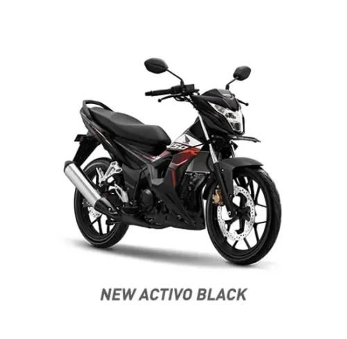 Varian Honda Sonic 150R (4)