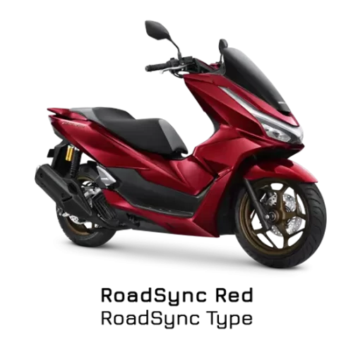 Varian Honda PCX 160 Roadsync (2)